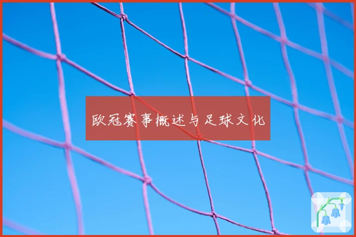欧冠赛事概述与足球文化