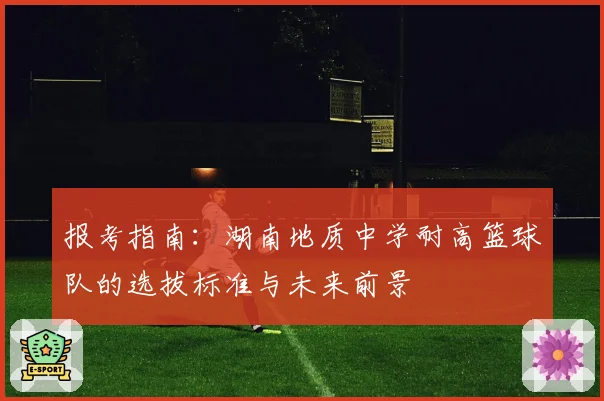 报考指南:湖南地质中学耐高篮球队的选拔标准与未来前景