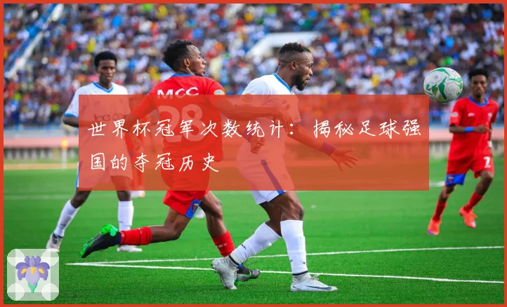 世界杯冠军次数统计:揭秘足球强国的夺冠历史