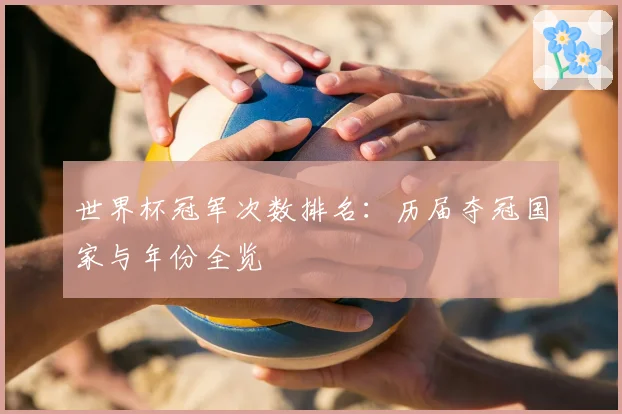 世界杯冠军次数排名:历届夺冠国家与年份全览