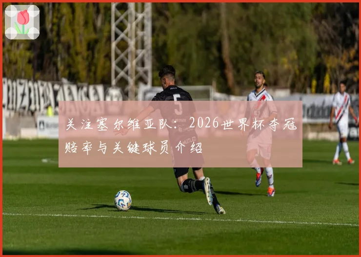 关注塞尔维亚队:2026世界杯夺冠赔率与关键球员介绍