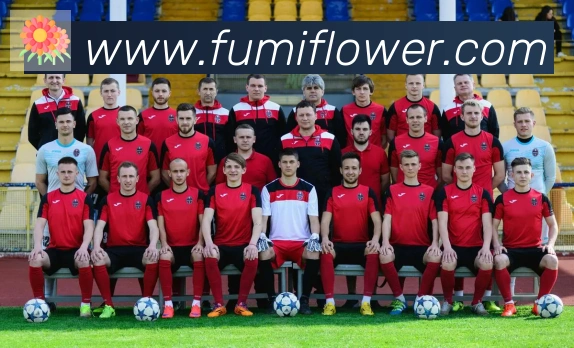 博亚app官网平台生态图