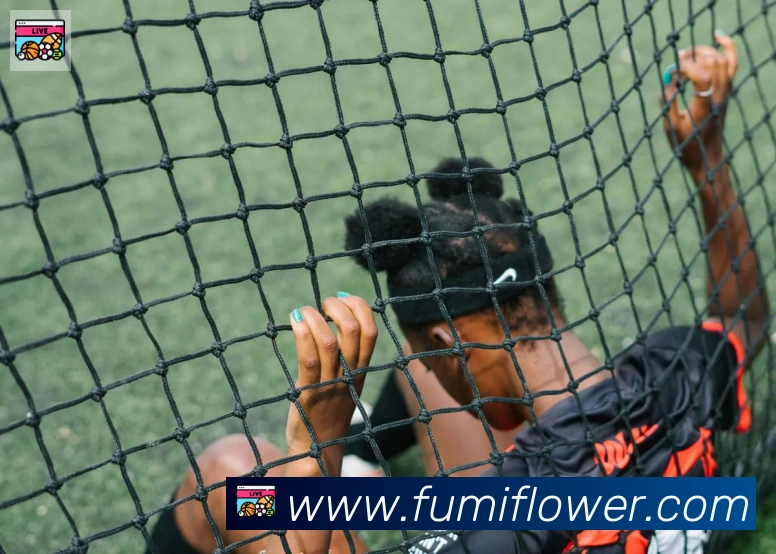 博亚app官网服务体系