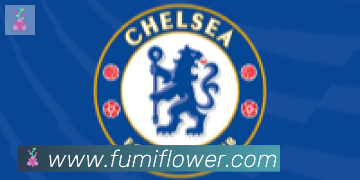 博亚app官网合作伙伴