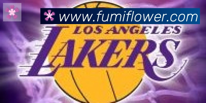 博亚app官网合作伙伴