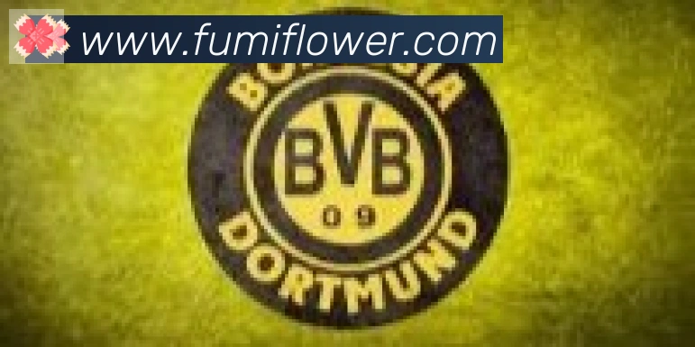 博亚app官网合作伙伴