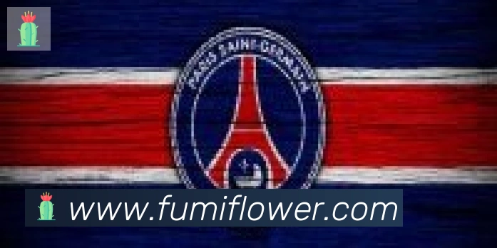 博亚app官网合作伙伴