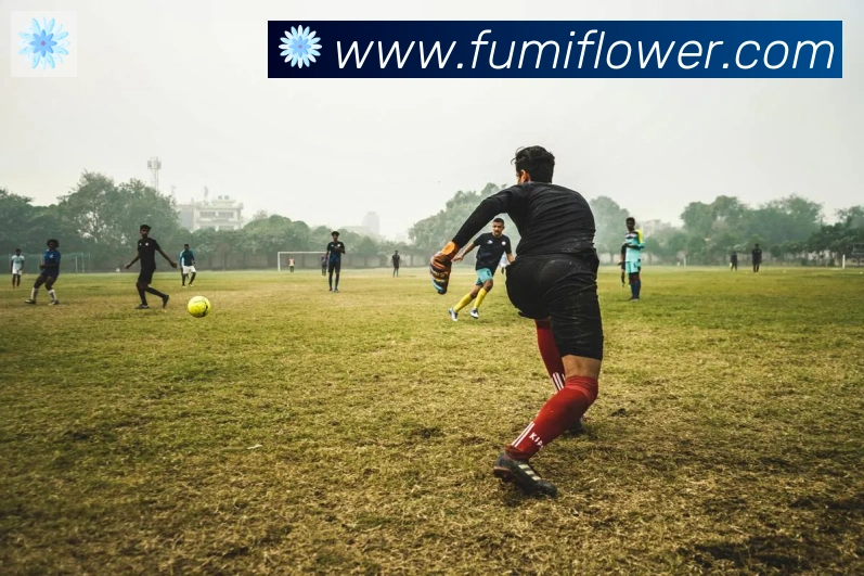 博亚app官网全站App